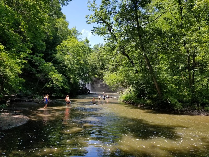 View of the creek