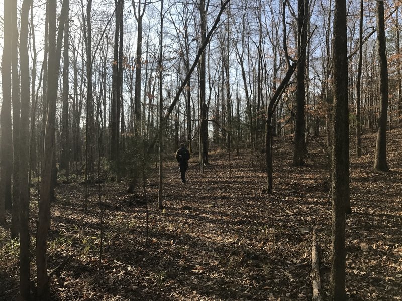 The Eagle Scout Trail in early spring.