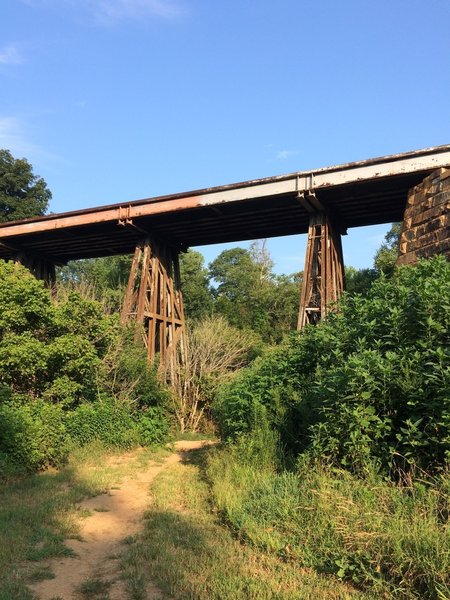 Muscadine crosses under this train tressel.