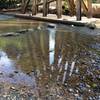 Small stream crossing that you get to rock hop across under train trestle.