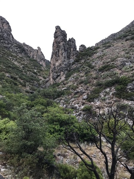 Yucca Canyon Trail in July