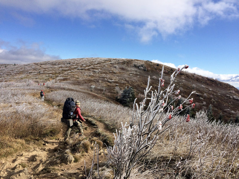 Fall frost atop Black Balsam Knob