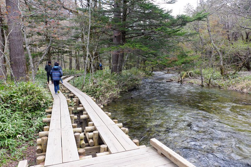 Elevated path keeps you dry over the babbling creek.