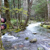 Acting up along the beautiful Kamikochi Trail