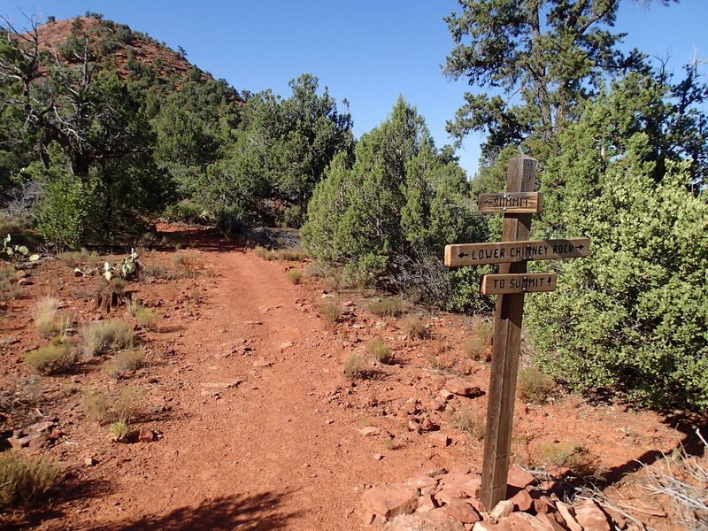 Trail to summit of Little Sugarloaf