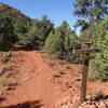 Trail to summit of Little Sugarloaf