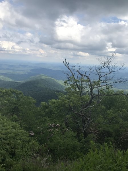 View from just below the summit of Rabun Bald on the Three Forks Trail.