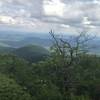 View from just below the summit of Rabun Bald on the Three Forks Trail.