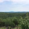 Nice view on the Pisgah Ridge Trail. Saw a hawk gliding in this area right after!