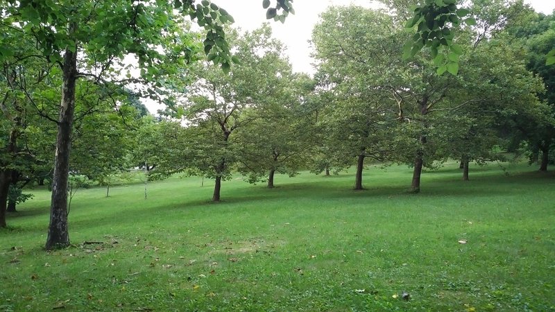 Open Grass Hills at Silver Lake Park