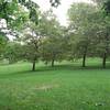 Open Grass Hills at Silver Lake Park