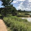 Trail along the water