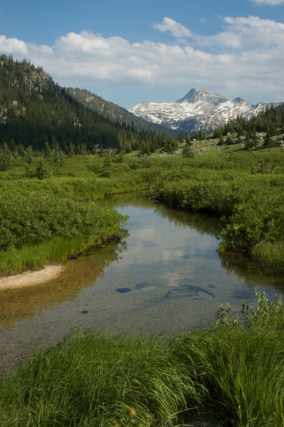 The nearby stream is cool, clear, and beautiful.