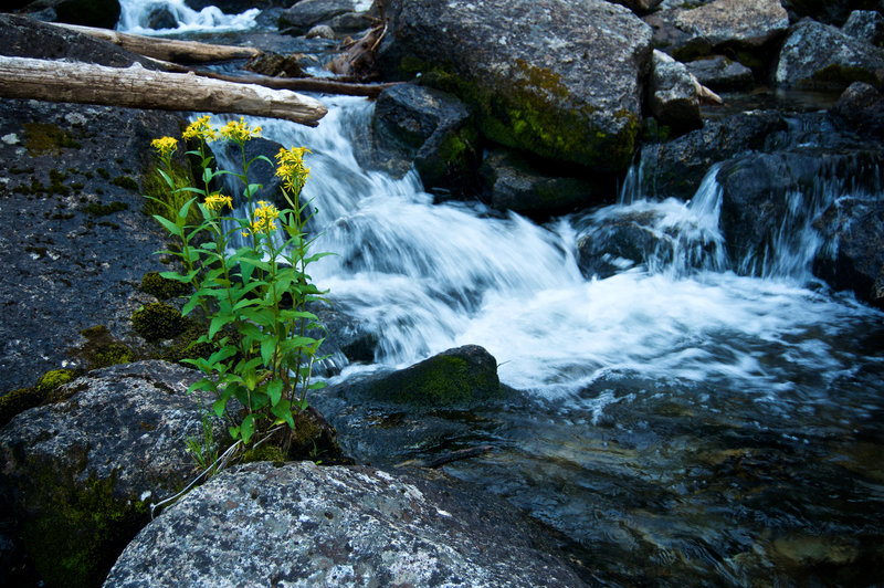 A few sections of waterfall make great places to take a break from the climbing and enjoy the views.