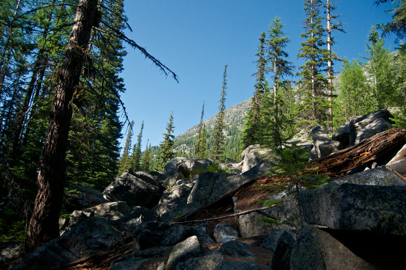 Early views along the trail.