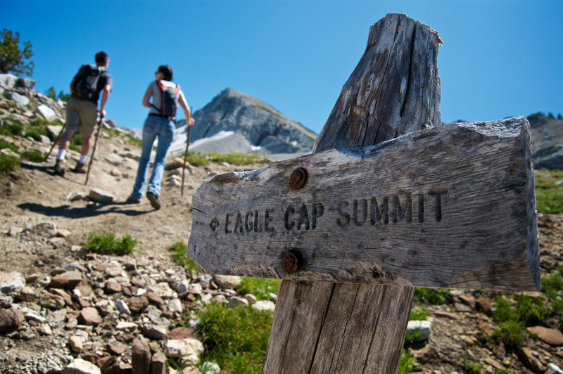 A weathered sign points the way to the top.