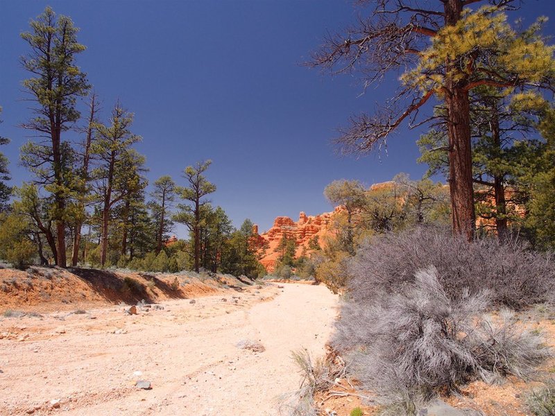 Near the Bryce Canyon to Red Canyon Bike Path.