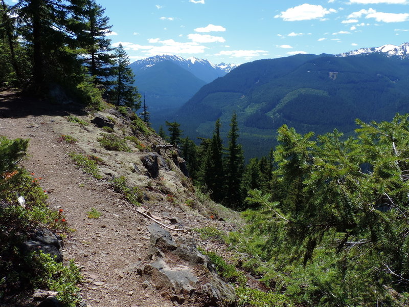 Looking east from the Palisades Trail #1198.