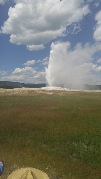 Old Faithful