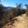 Sandstone Peak as seen from Los Robles Trail West.