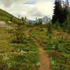 Approaching Easy Pass on the Fisher Creek Trail, the mountains on the other side start coming into view.