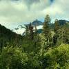 Mt. Logan appears to the southwest as Fisher Creek Trail climbs