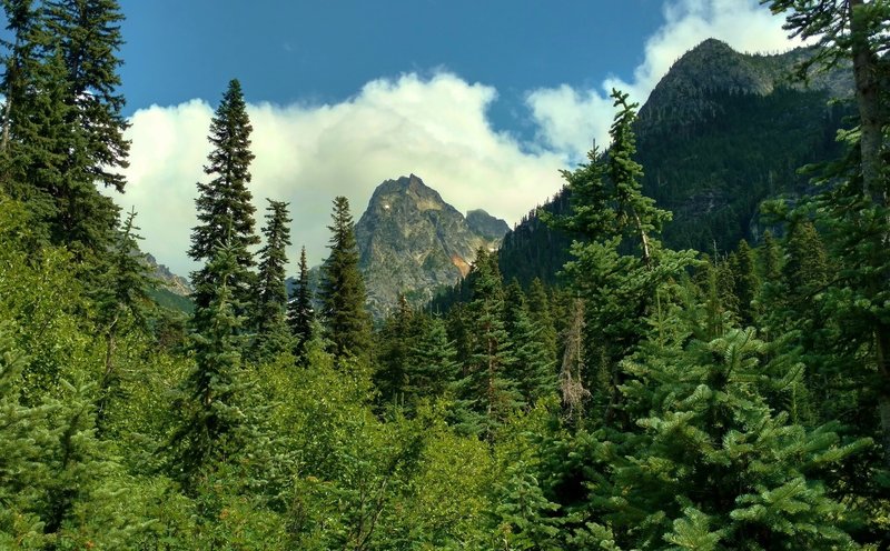 Peaks to the east appear as Fisher Creek Trail climbs