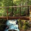 Fisher Creek Trail crosses an unnamed creek that empties into Fisher Creek