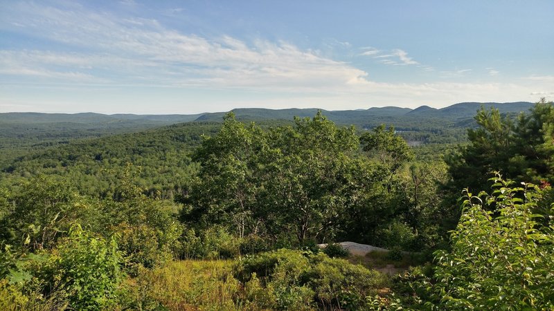 View from the top of Mount Caesar