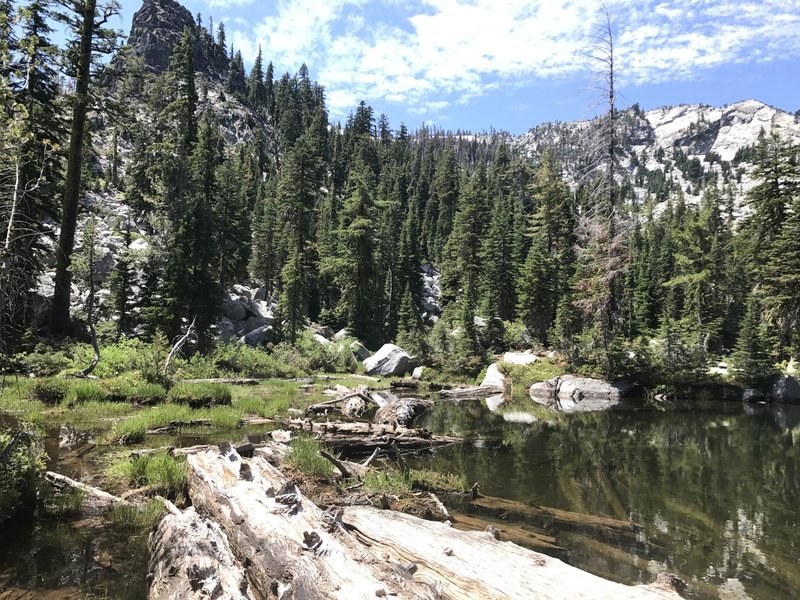 Stable log crossing of Albers Lake outlet to reach camp site and Upper Albers Lake in Russian Wilderness