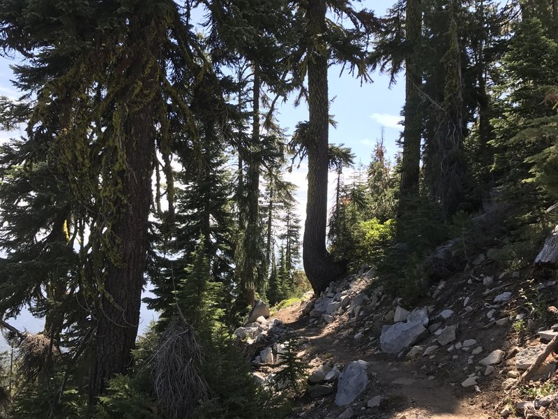 Pacific Crest Trail in Russian Wilderness