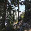 Pacific Crest Trail in Russian Wilderness