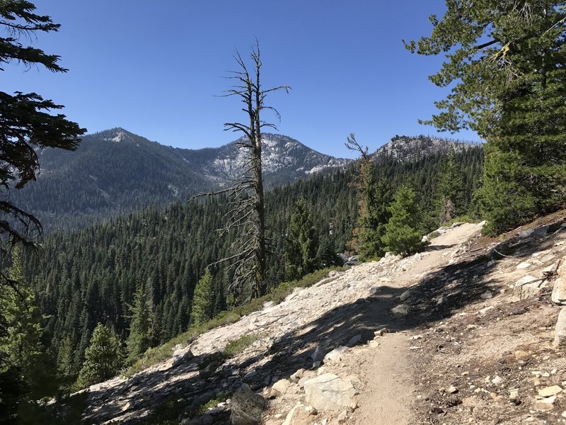 Pacific Crest Trail in Russian Wilderness