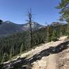 Pacific Crest Trail in Russian Wilderness