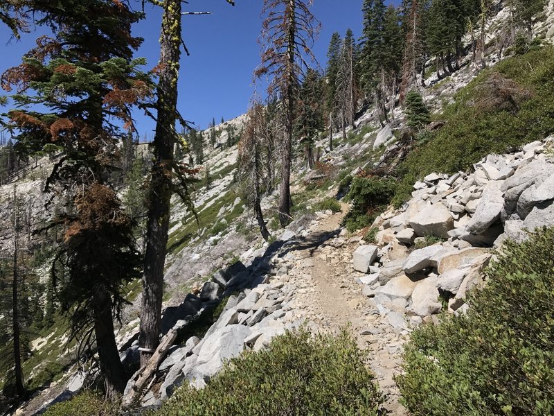 Pacific Crest Trail in Russian Wilderness