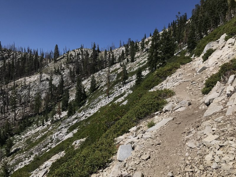 Pacific Crest Trail in Russian Wilderness