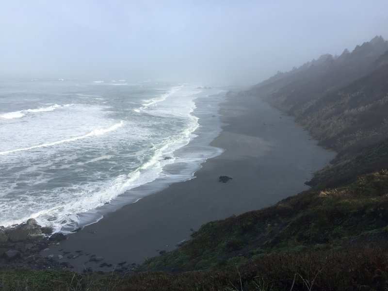 View toward Stone Lagoon Beach from Sharp Point Trail.