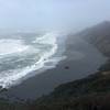 View toward Stone Lagoon Beach from Sharp Point Trail.