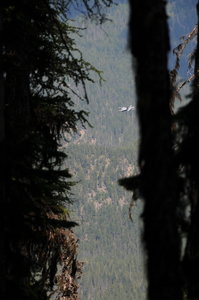 Occasionally the silence is broken by the roar of F-18s, which you'll hike/run above