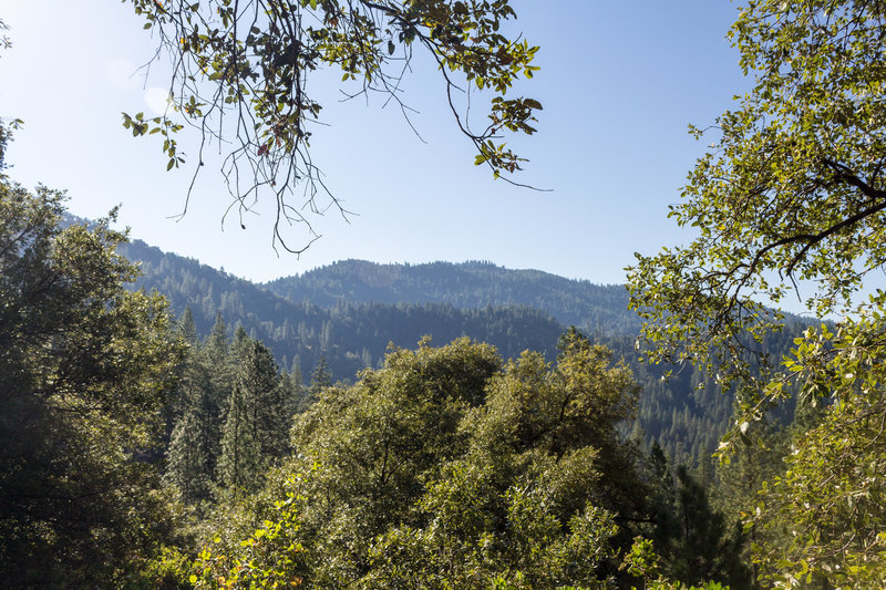 Plumas National Forest