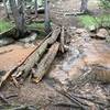 North Fork French Creek Crossing