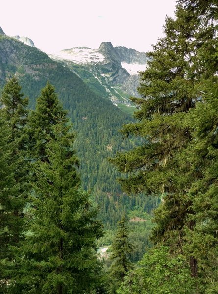 In the distance is Tricouni Peak with Thunder Creek far below, looking northwest from Thunder Creek Trail