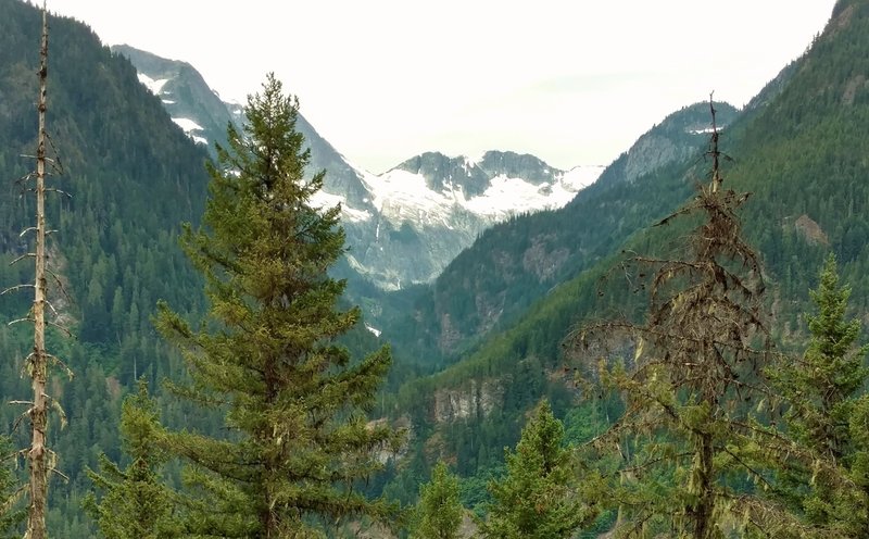 In the distance are Mount Torment, Forbidden Glacier, Inspiration Glacier, and Eldorado Peak, seen looking southwest up the West Fork of the Thunder Creek Valley, from Thunder Creek Trail