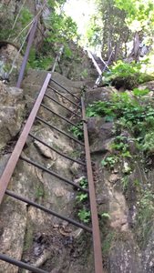 Ladders on the trail