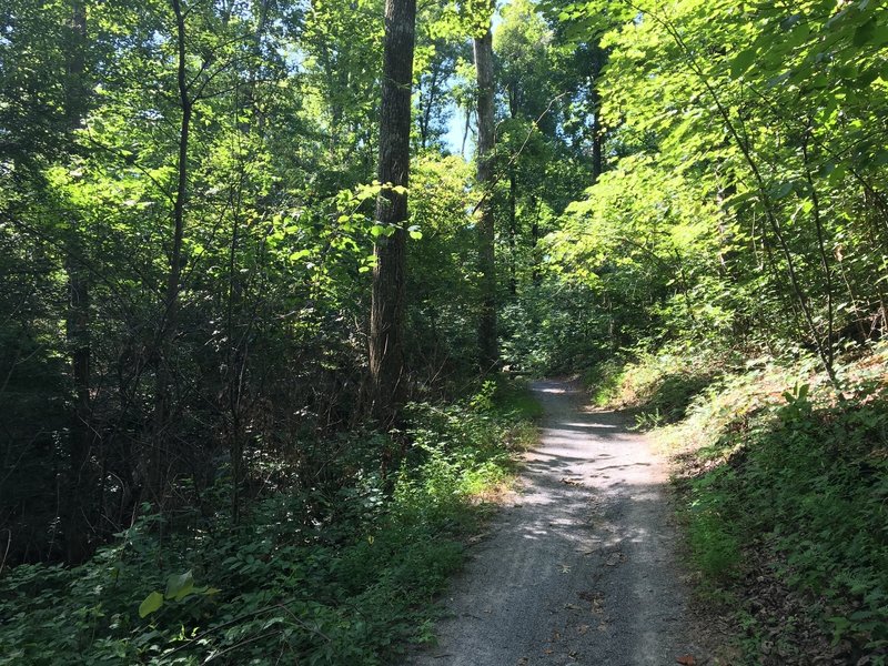 First section of the Central Hardwoods Scenic Trail