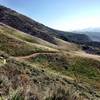 Santa Cruz Trail meadow.