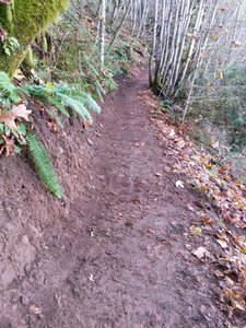 The Jim Slagle Sloop Trail was built in 2015.