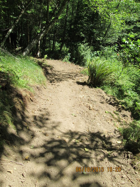 Jim Slagle Loop Trail