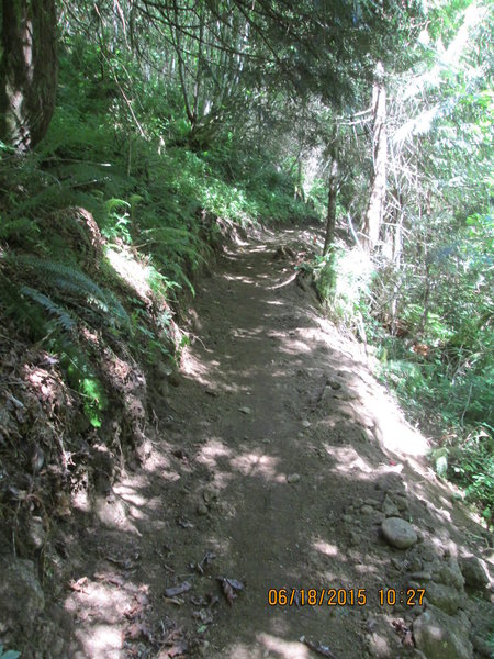 The trail is very family friendly but keep an eye on them in this section with the steeper side slope below the trail.