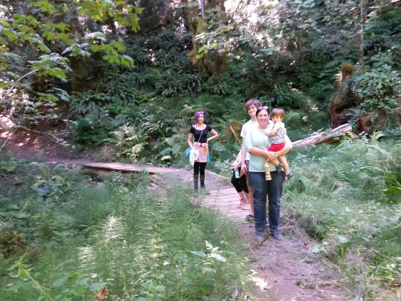 This is the bridge and boardwalk over the wet area made from the old cedar to the right.